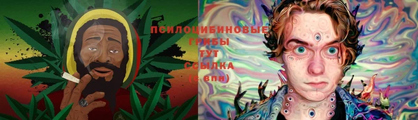 сатива Балабаново